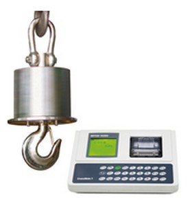 托利多電子（zǐ）吊秤