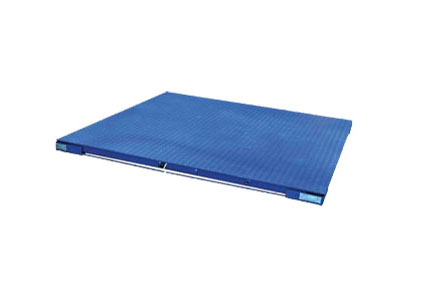 梅特勒-托（tuō）利多電子（zǐ）平台秤